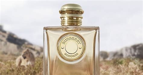 burberry profumo nuovo|Burberry Lancia Una Nuova Fragranza: Goddess.